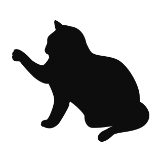 E 7