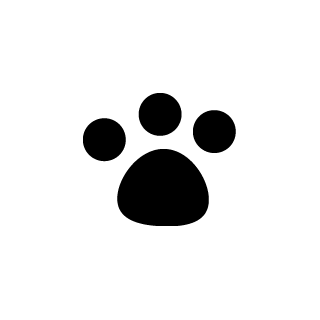 E 3