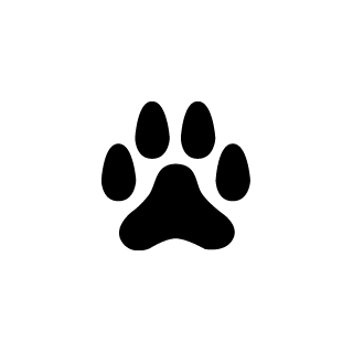 E 4
